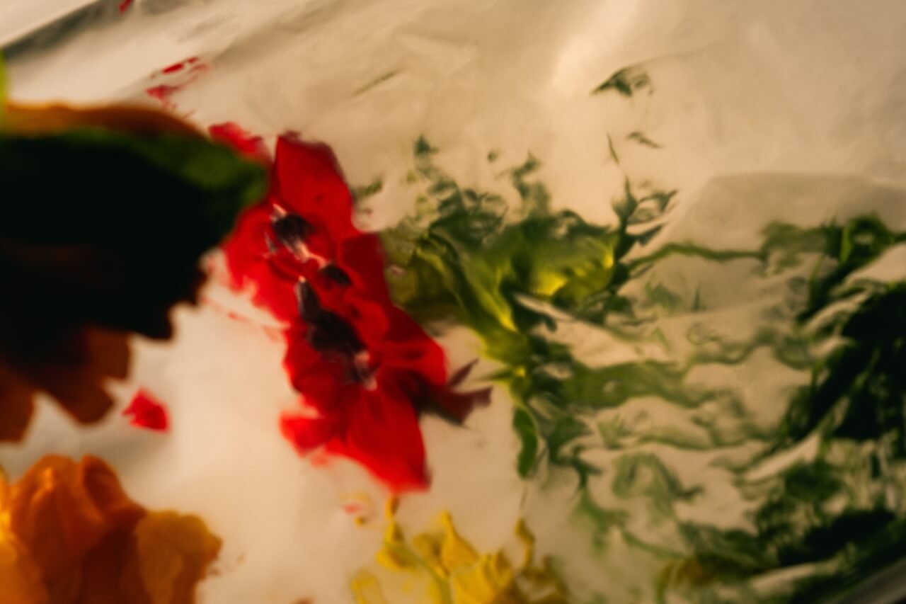 DTS_In_Focus_Daniel_Farò_Photos_ID5013